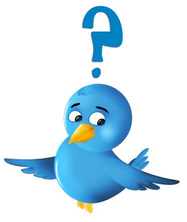 Confused-Twitter-Bird