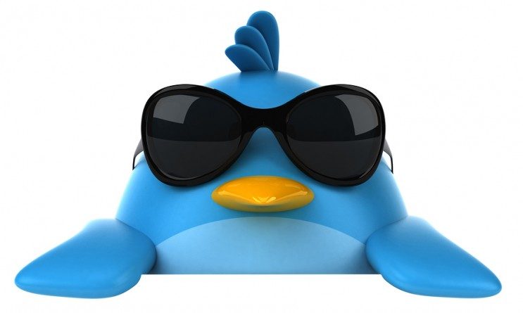 cool-twitter-bird-743x445