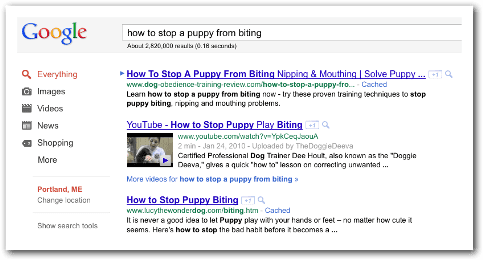 0711rb-how-to-stop-a-puppy-from-biting