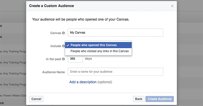 facebook-canvas-custom-audiencs-5 (1)