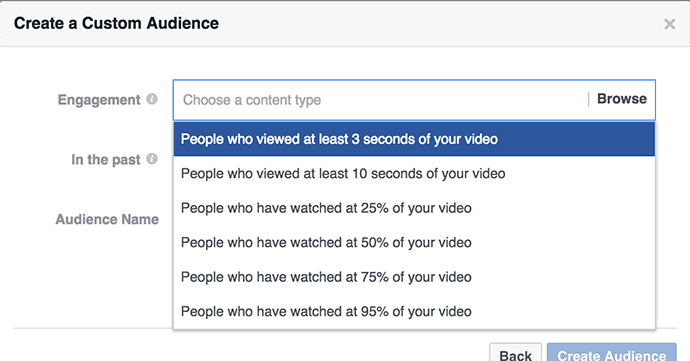video-views-custom-audience (1)