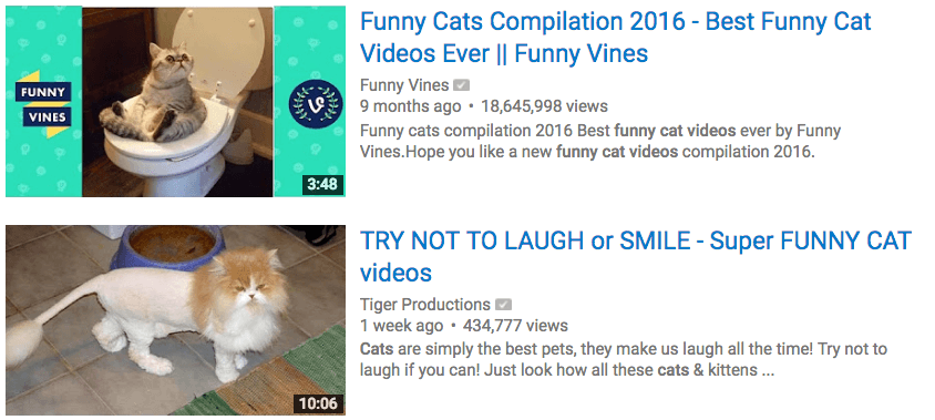 funny-cat-videos