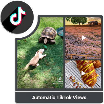 Automatic TikTok Views