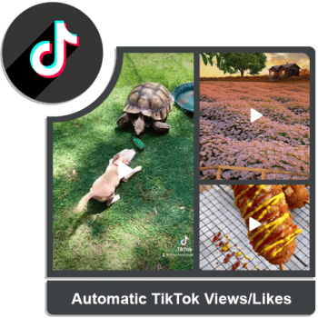 Buy Automatic Views/Likes