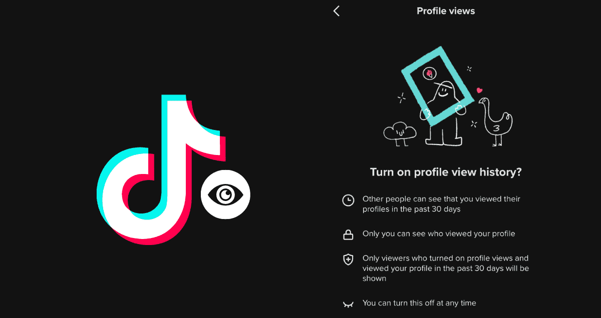Can You Find Out Who Checked Your TikTok Profile?