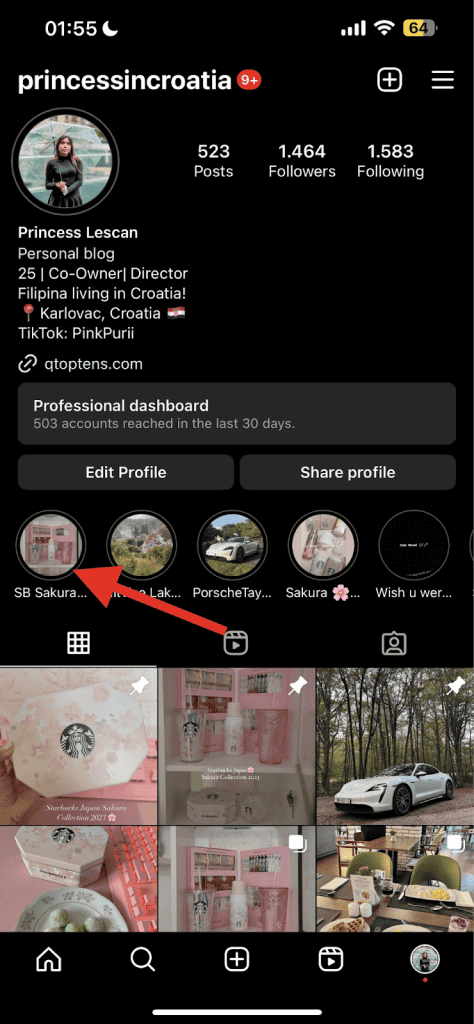 Check Your Instagram Highlight Viewer - on mobile 3