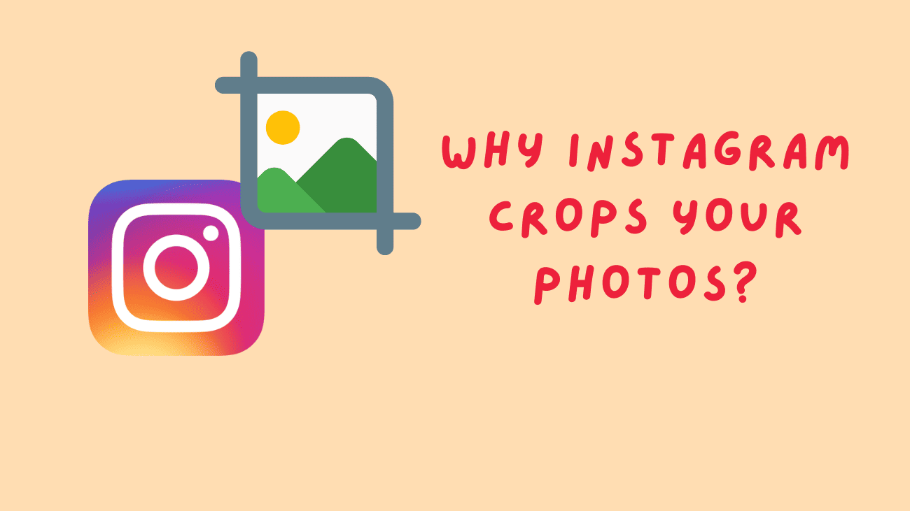 Instagram Crops Your Photos