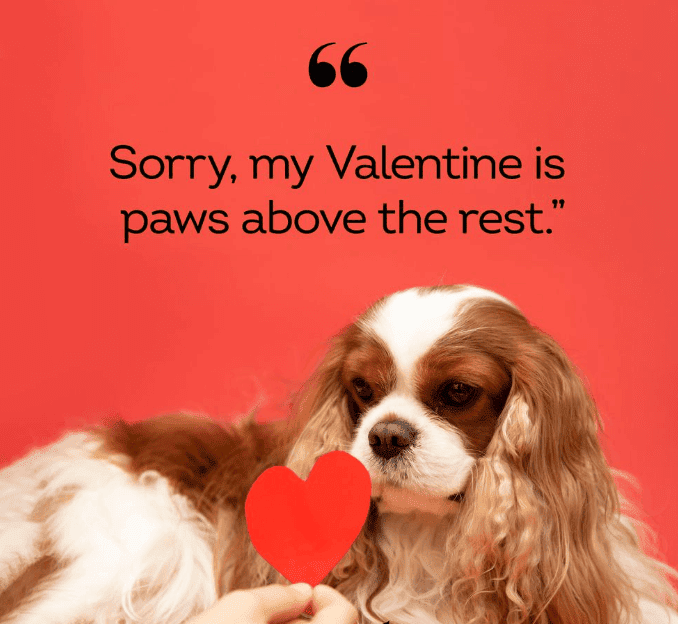 Instagram Valentine's Day captions - funny edition