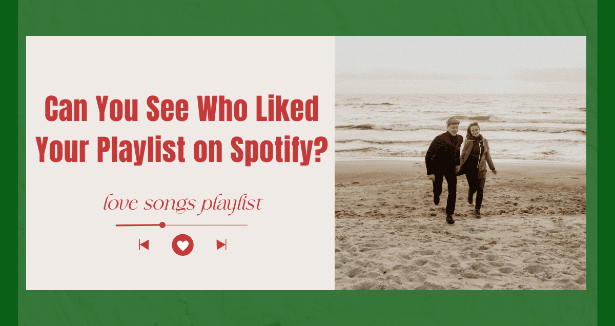 Can You See Who Liked Your Playlist on Spotify