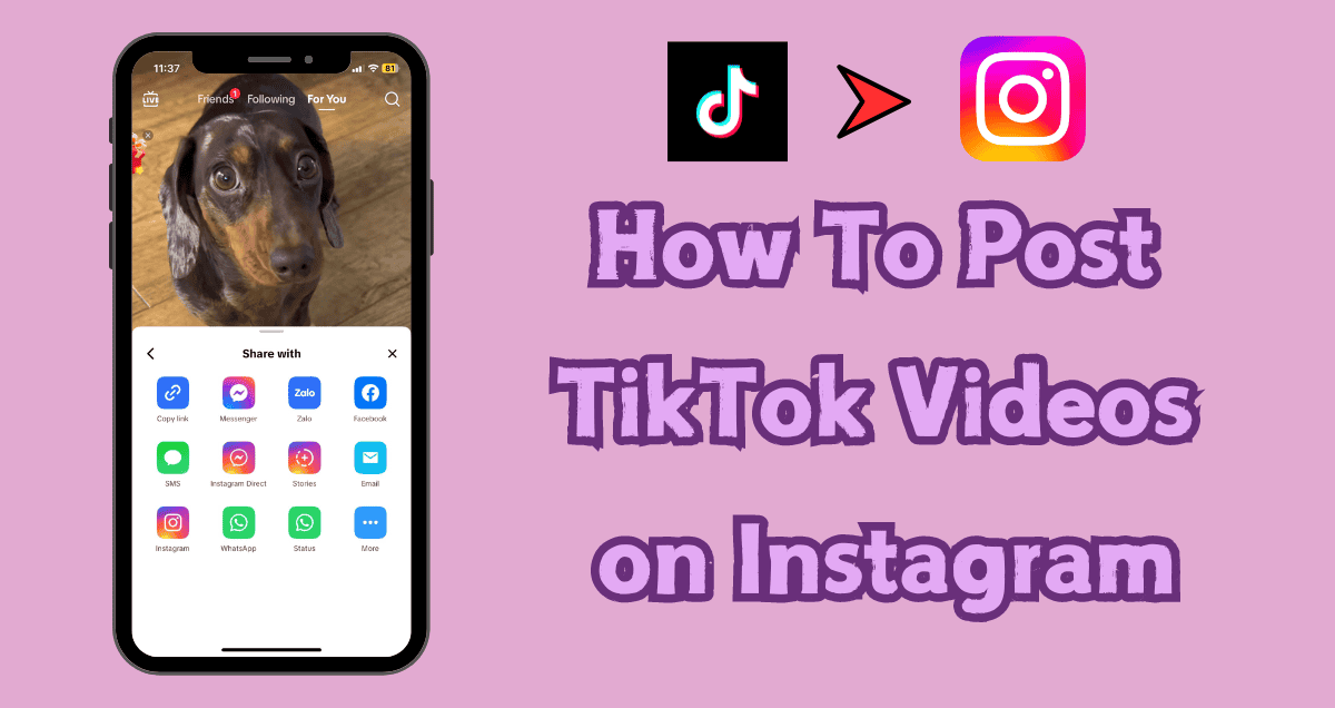 how to post TikTok videos on Instagram
