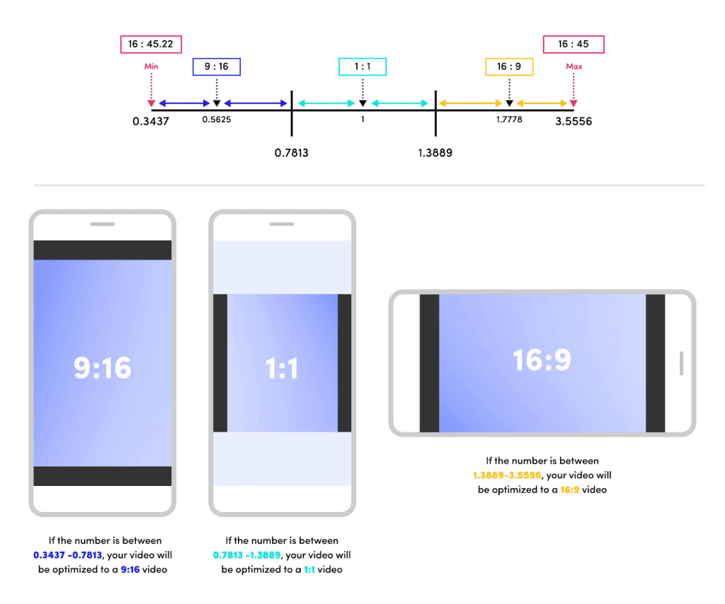 Real TikTok Video Dimensions