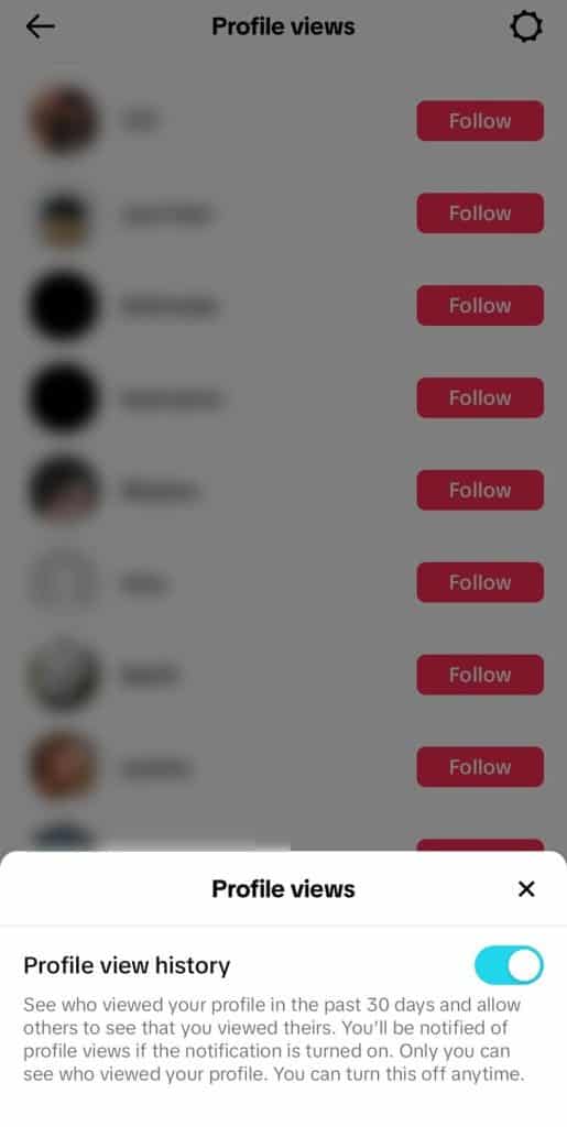 How To Turn Off Profile Views On TikTok through Profile pages final step