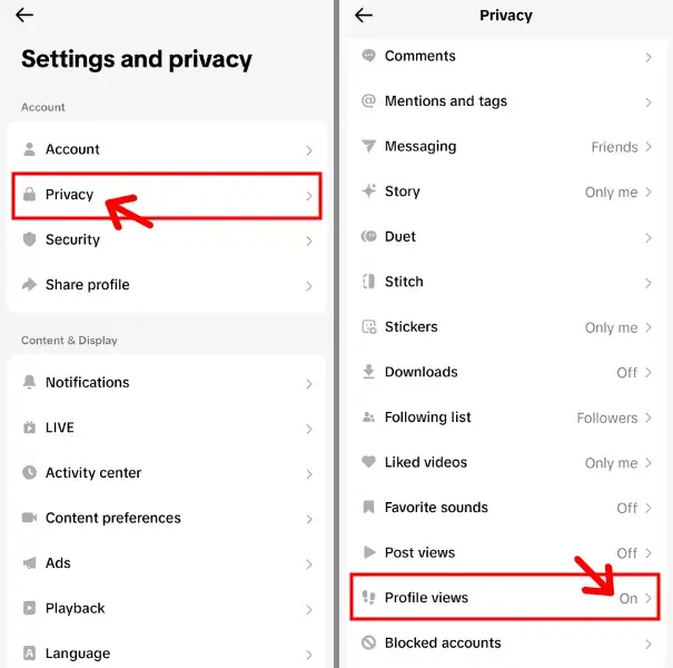 Turn Off Profile Views On TikTok