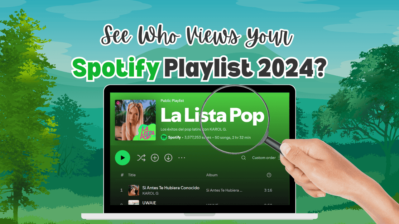 See who views your Spotify playlist 2024?