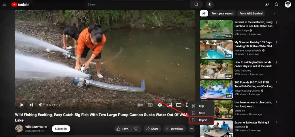 Report a YouTube Video on Desktop