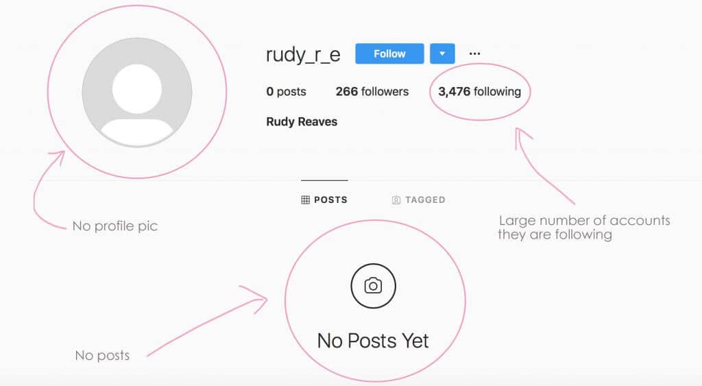 How to Spot Fake Instagram Accounts