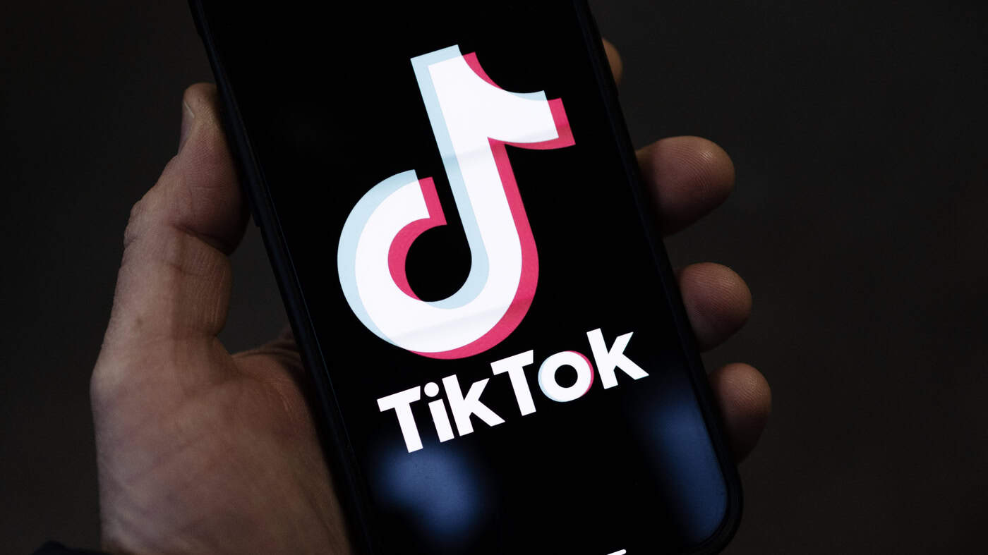 TikTok - best social media for business